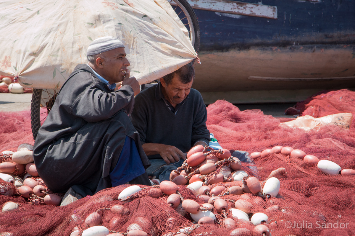 Fish market in Essaouira, Morocco