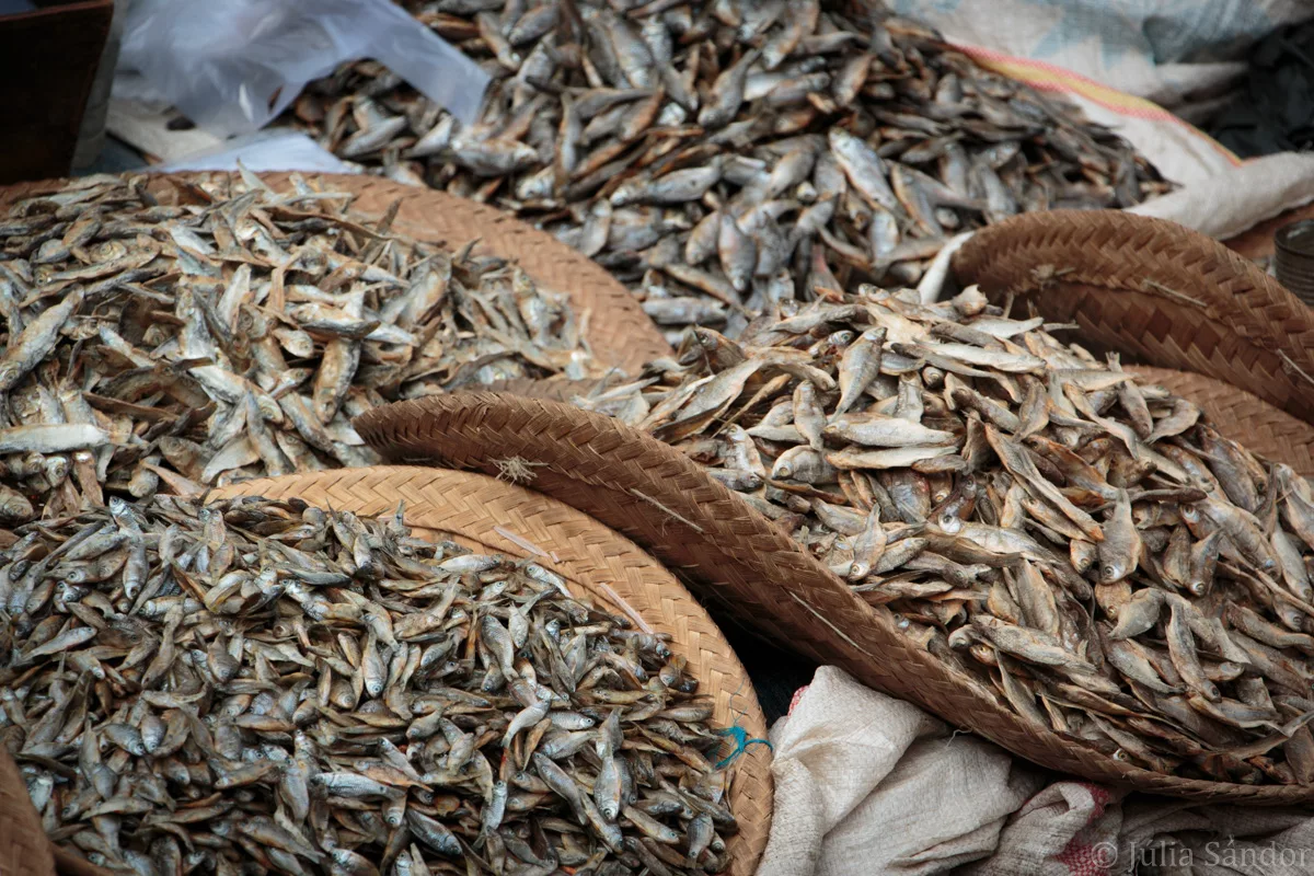 Inle_2016_WorldViber_9