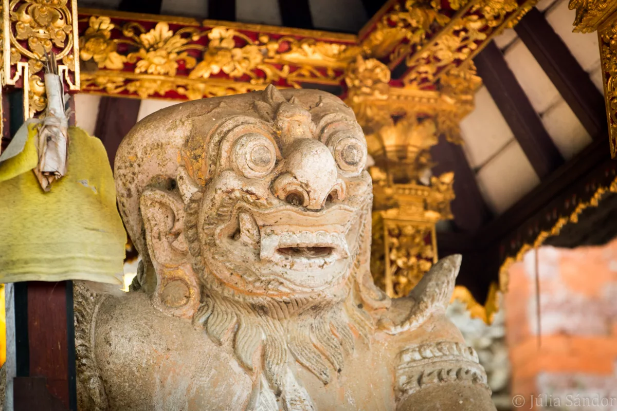 Bali_Ubud_2016_Worldviber_12