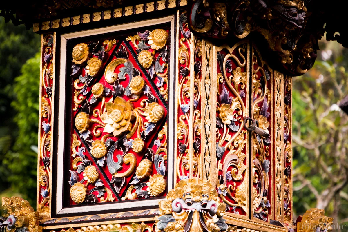 Bali_Ubud_2016_Worldviber_15