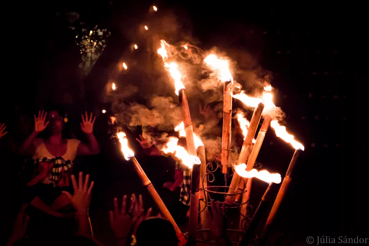 Bali_Ubud_2016_Worldviber_17