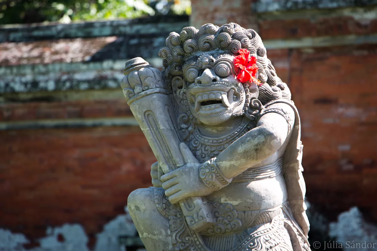 Bali_Ubud_2016_Worldviber_21