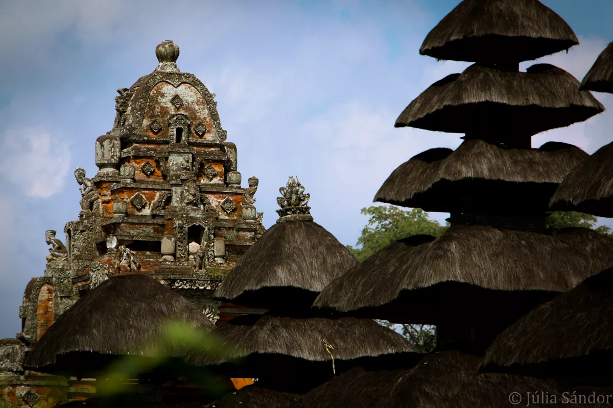 Bali_Ubud_2016_Worldviber_22