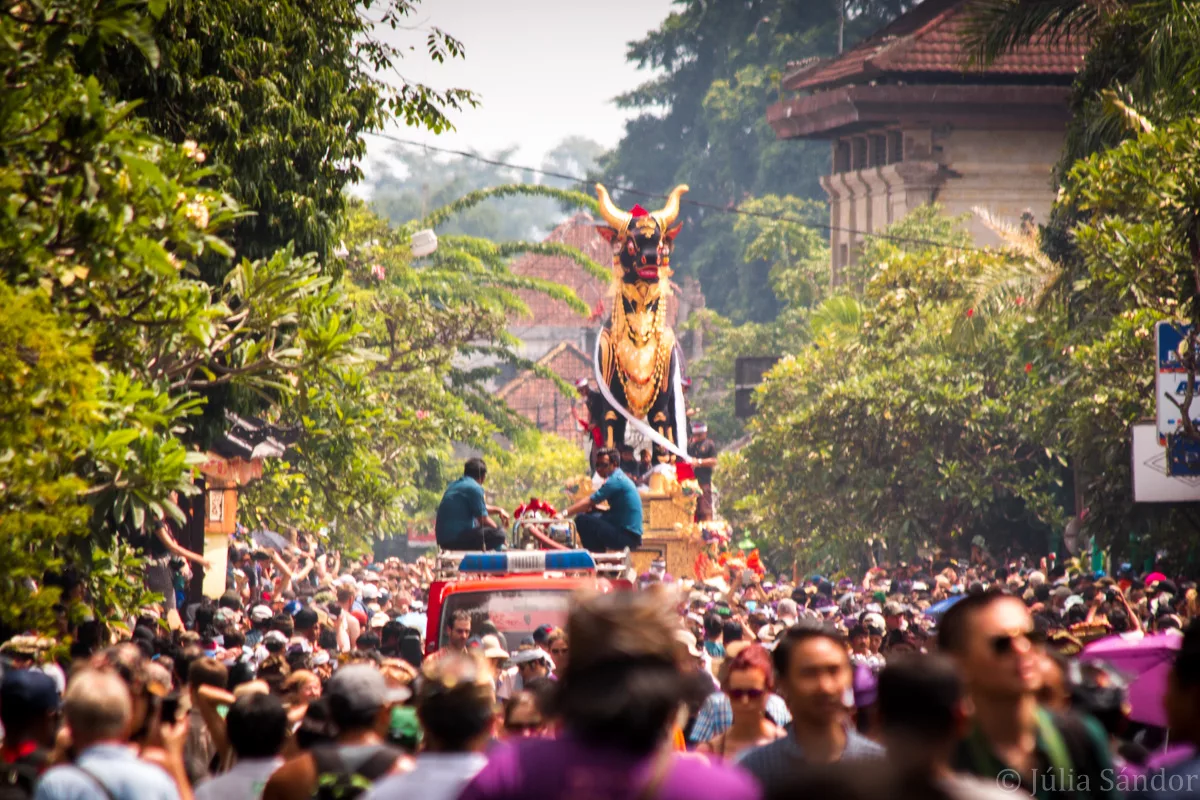 Bali_Ubud_2016_Worldviber_3