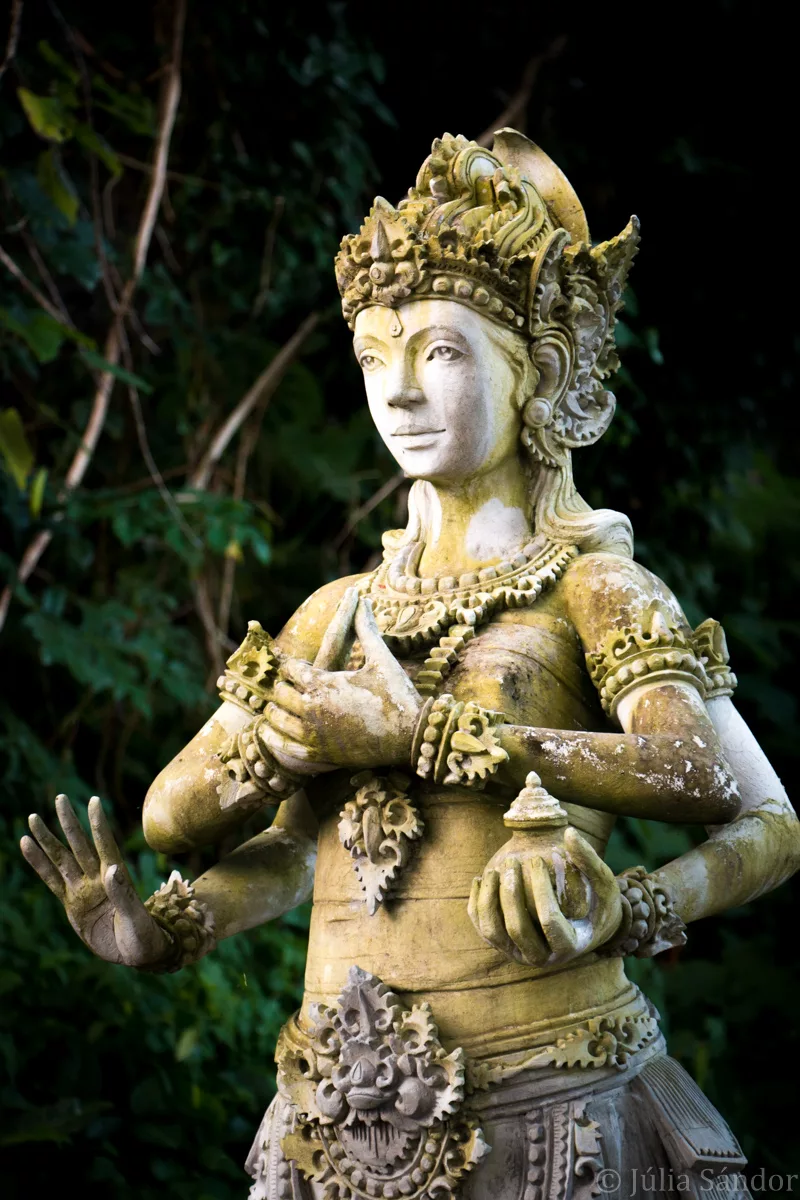 Bali_Ubud_2016_Worldviber_41