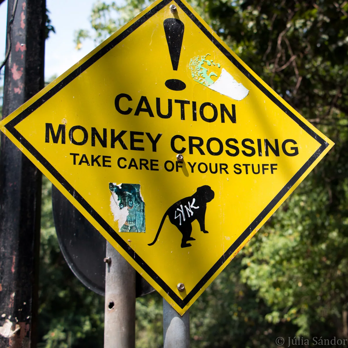 Bali_Ubud_2016_Worldviber_44