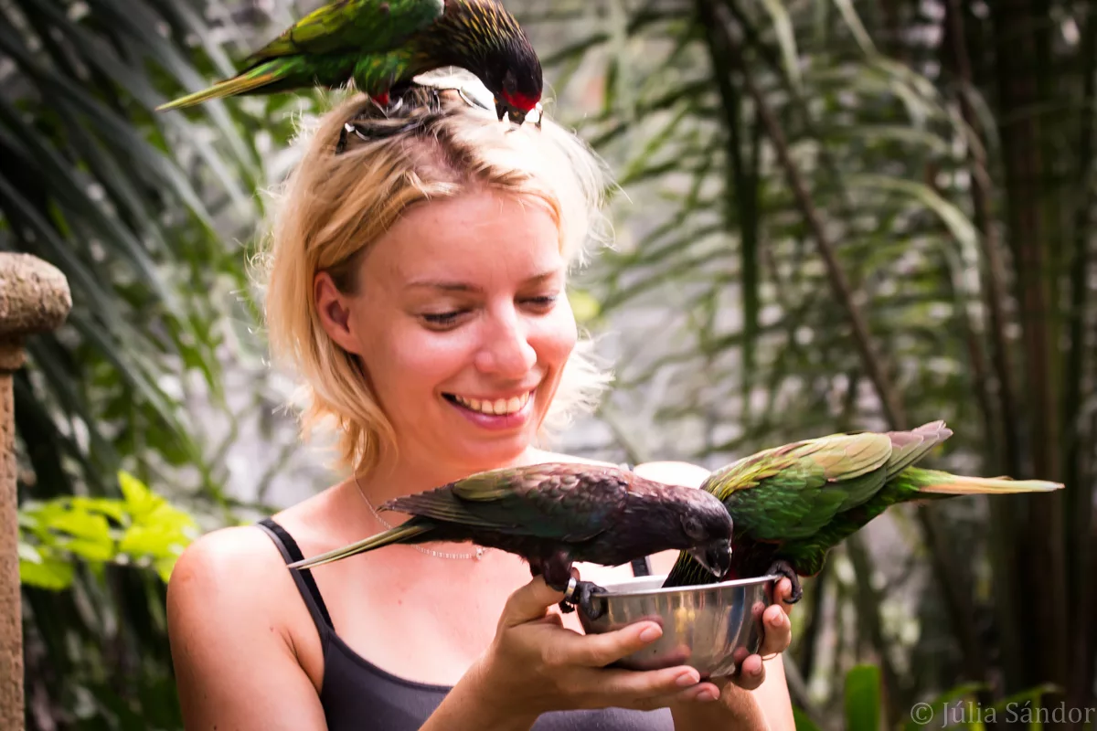 Bali_Ubud_2016_Worldviber_51