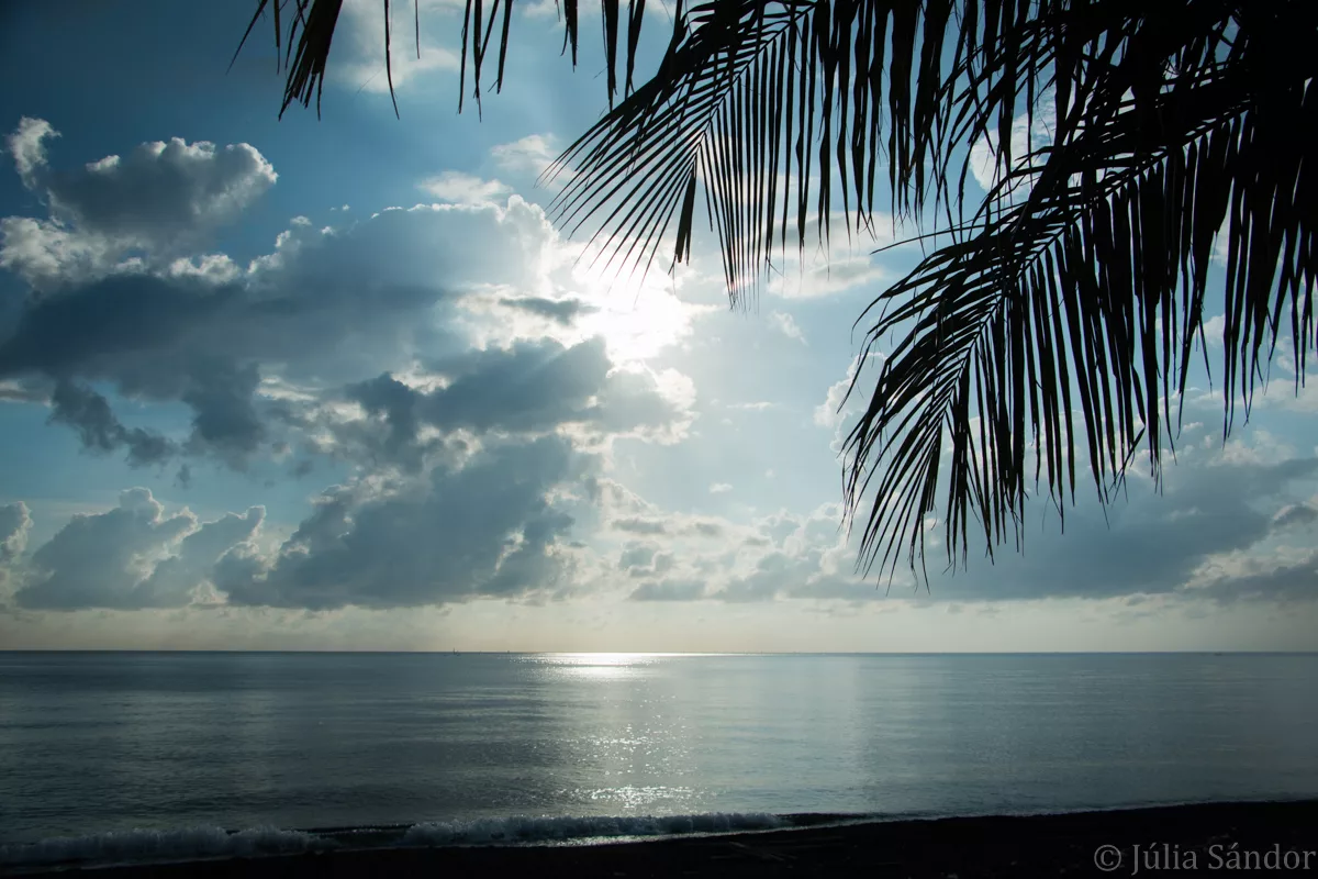 Bali_Ubud_2016_Worldviber_59