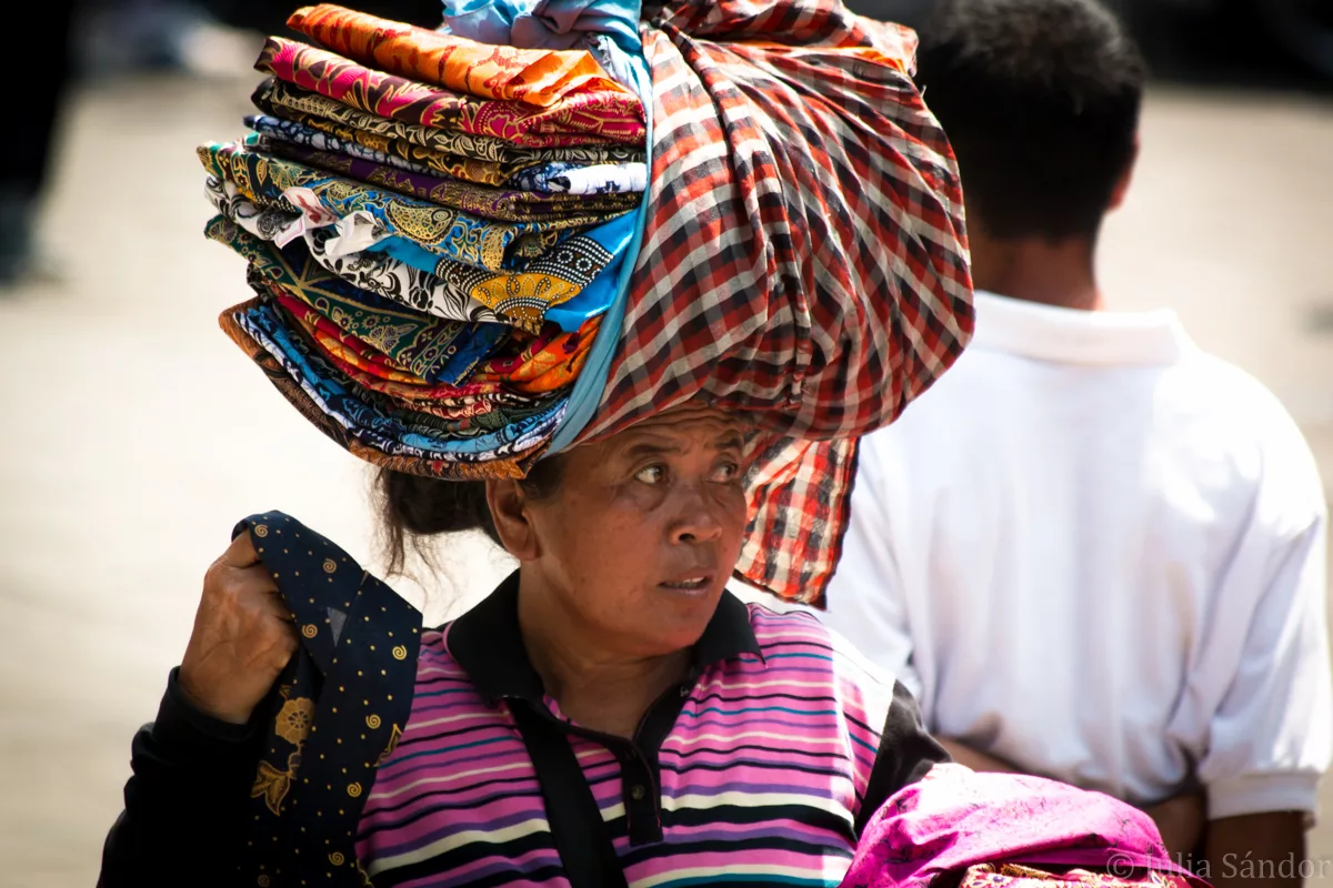 Bali_Ubud_2016_Worldviber_6