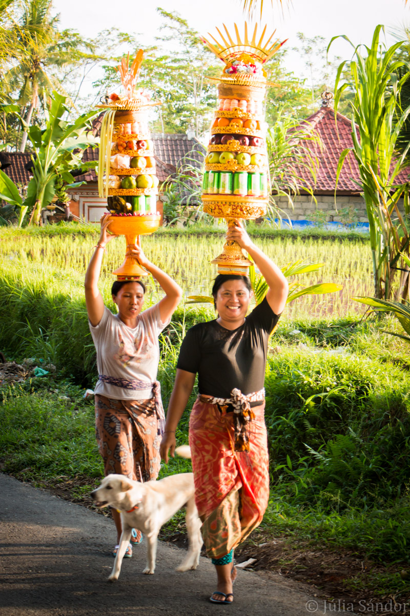 Faces of Asia: Balinese women carrying offerings