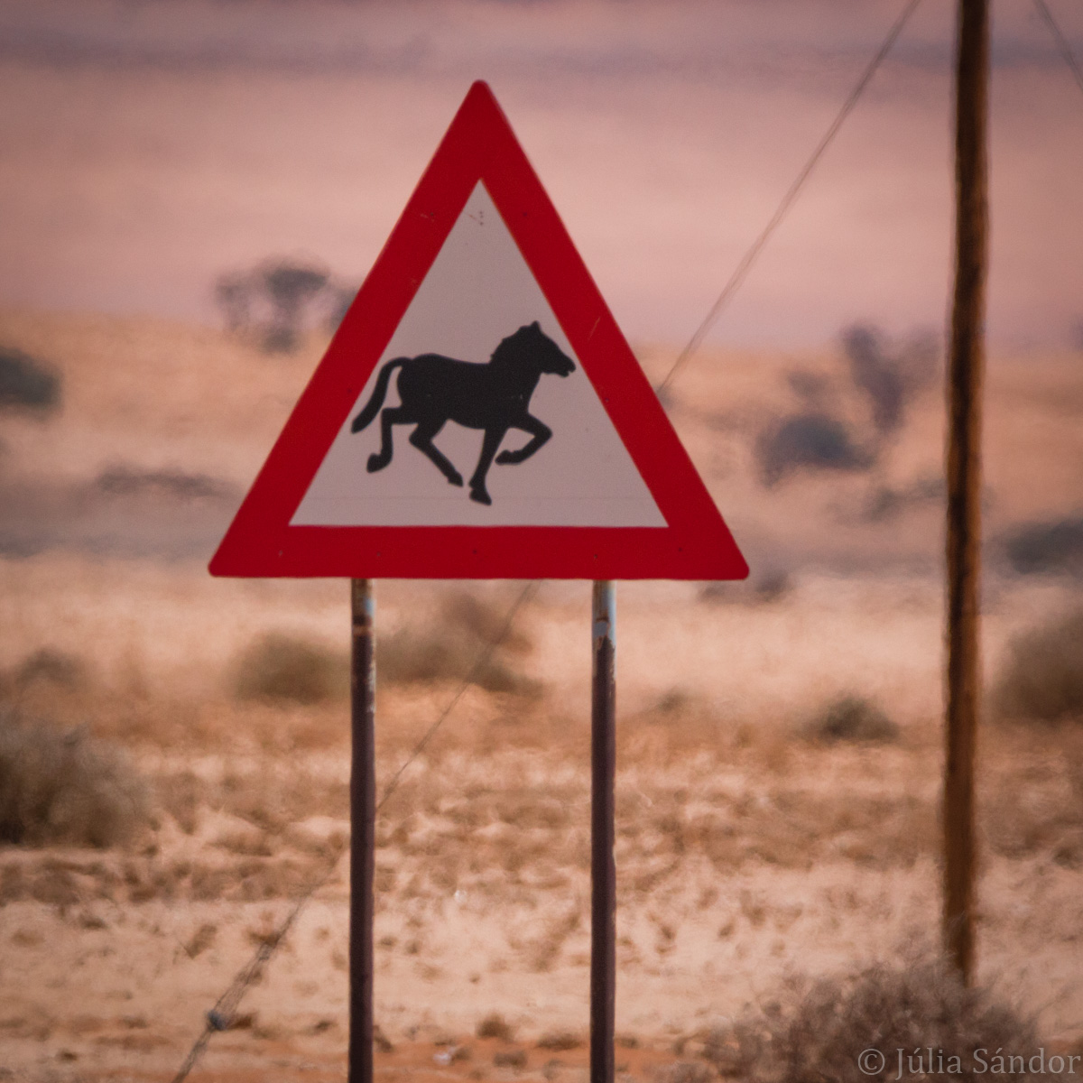 Wildhorse sign