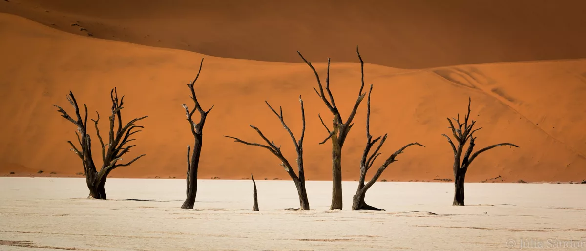 namibia-fish-river-canyon-2016-100-2