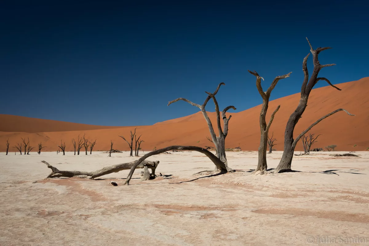 namibia-sossusvlei-2016-100