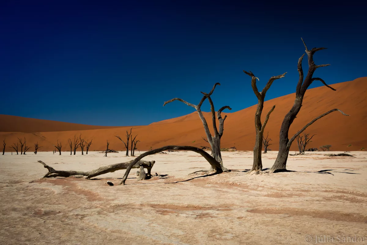Deadvlei