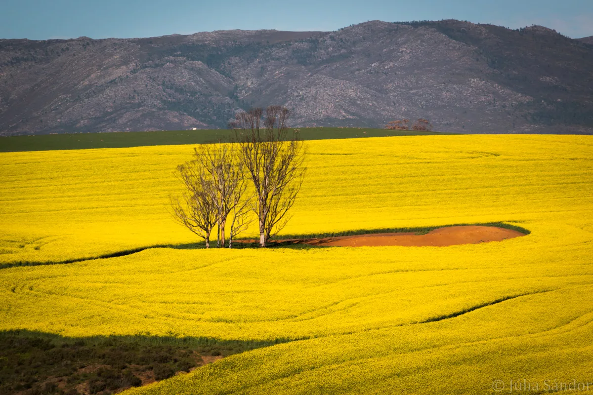 South-Africa-adventure (1)