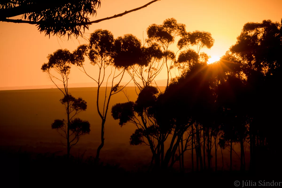 South-Africa-adventure (12)