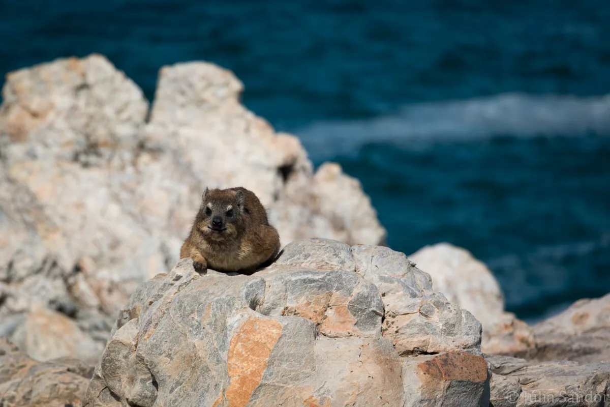 South-Africa-adventure (14)