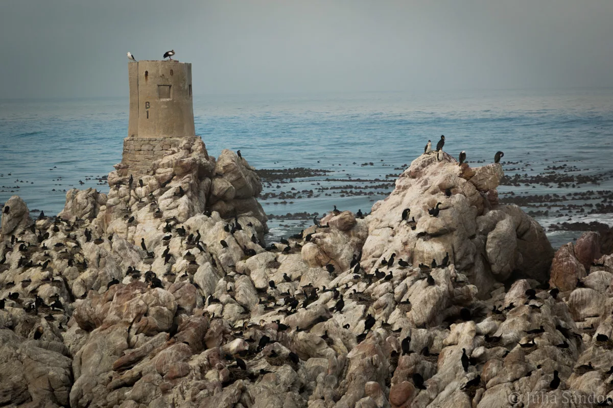 South-Africa-adventure (15)