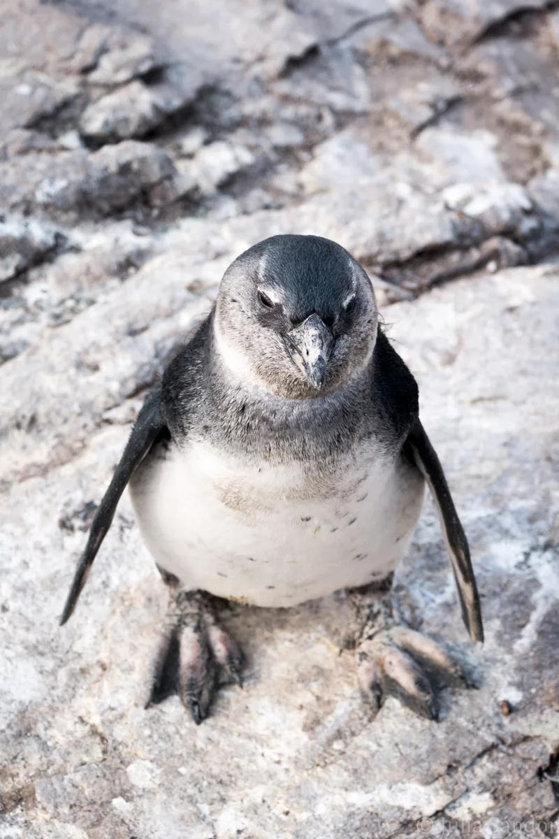 South-Africa-adventure (16)