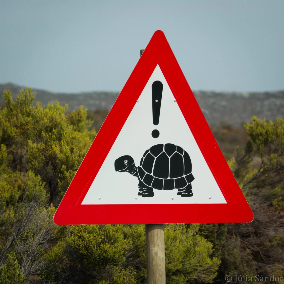 South-Africa-adventure (22)