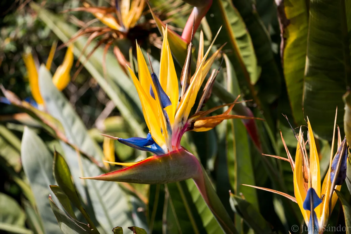 South-Africa-adventure (30)