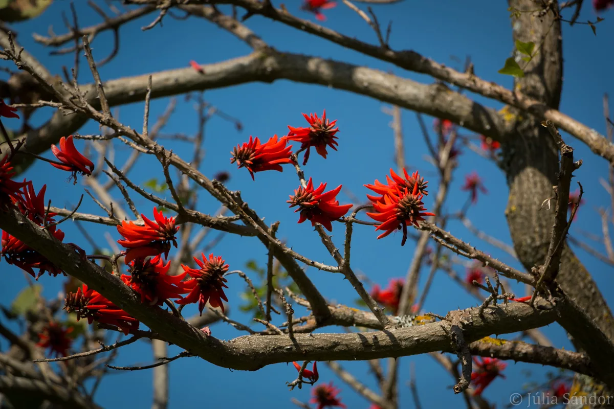 South-Africa-adventure (31)