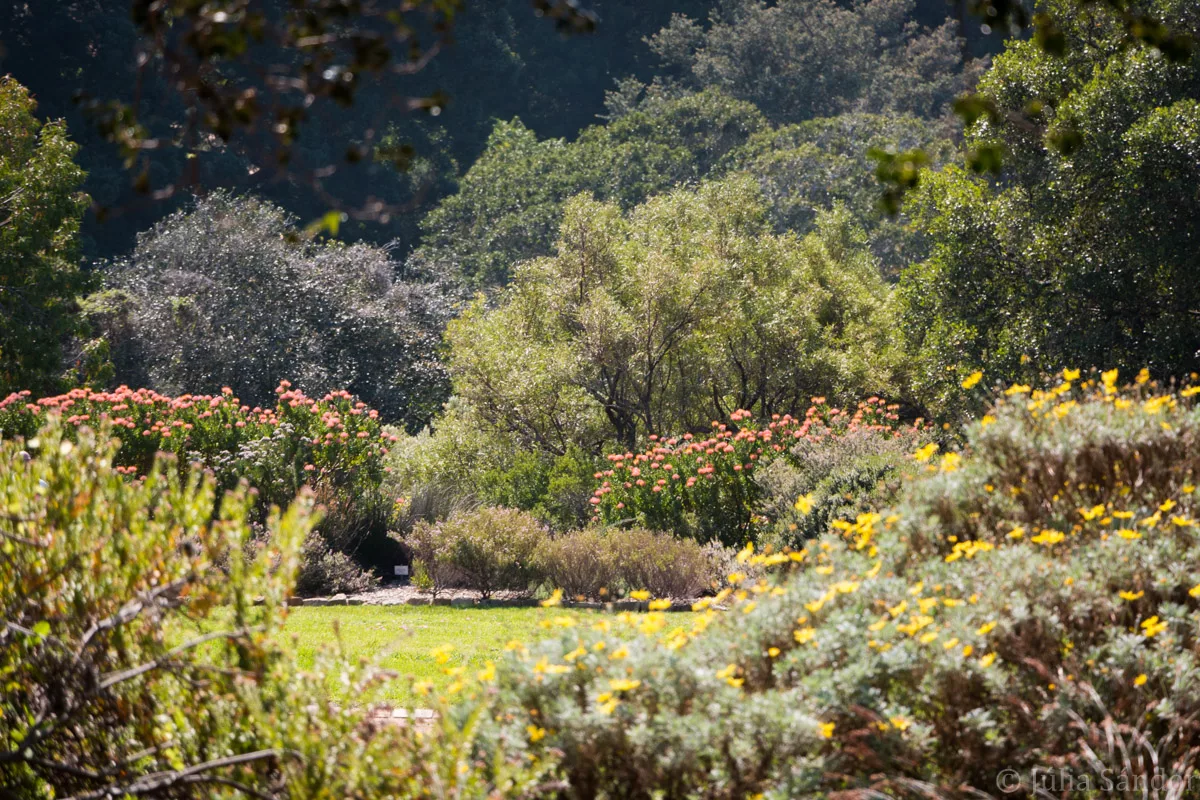 South-Africa-adventure (37)