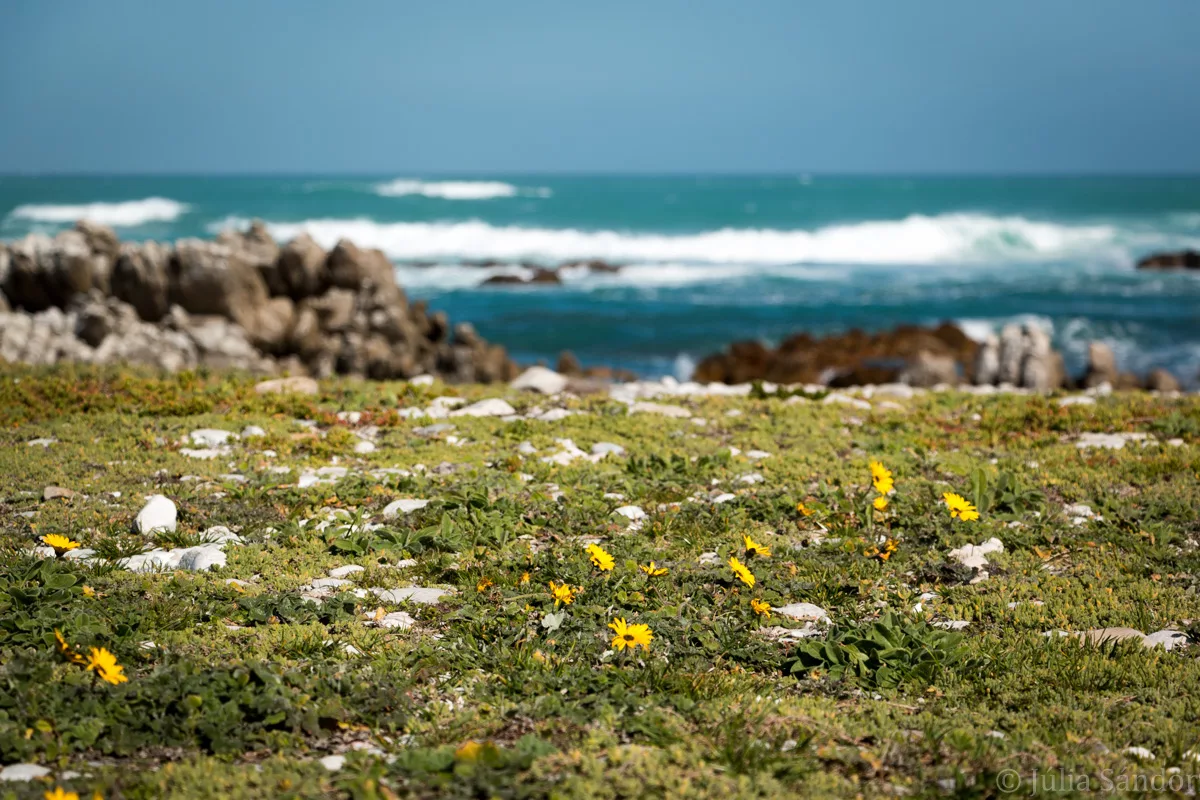 South-Africa-adventure (4)