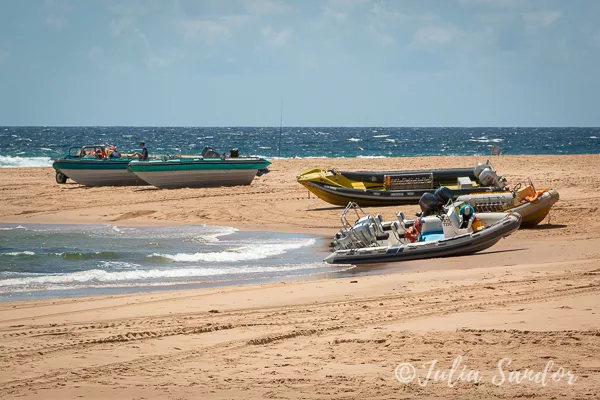 worldviber-tauchen-IMG_112601