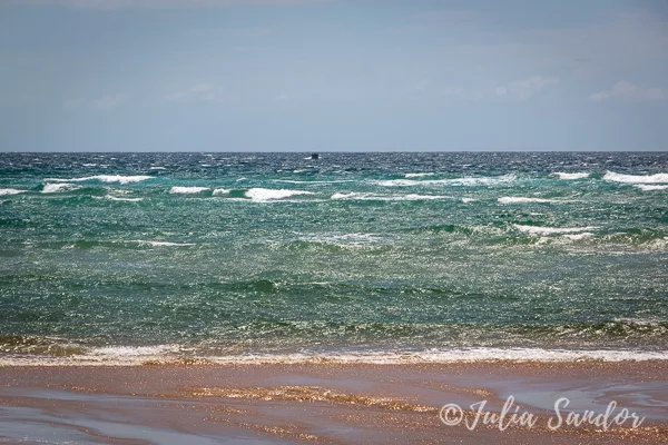 worldviber-tauchen-IMG_112902